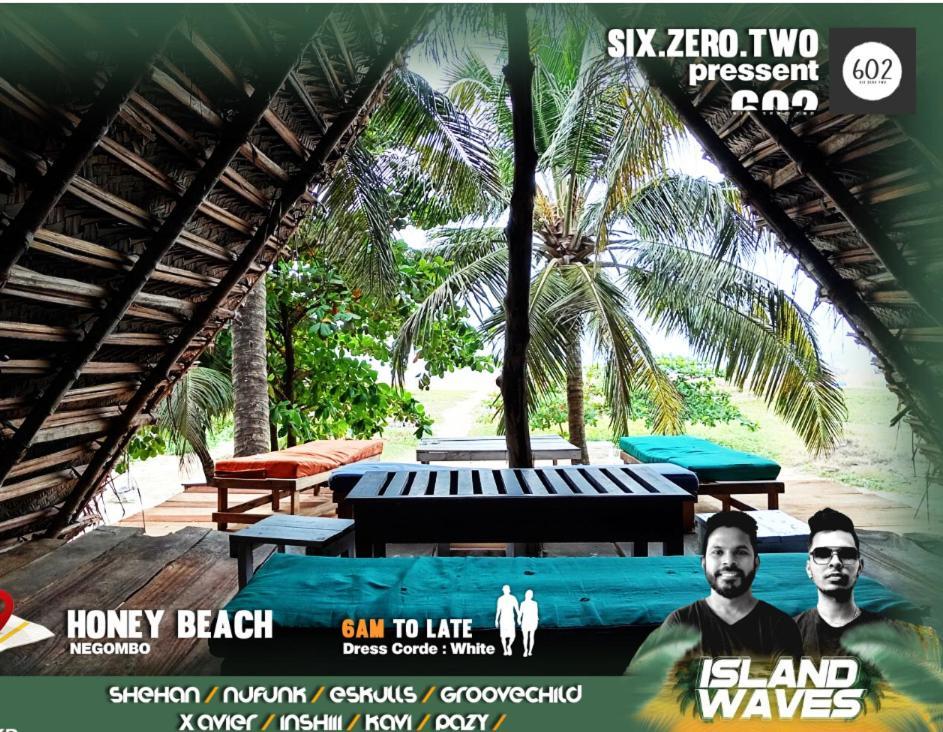Honey Beach Hostel Negombo Luaran gambar